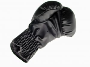 Boxing Glove