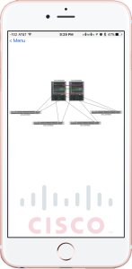 Cisco IFi Netmap